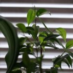 Plise Perde Nedir? 7 Adımda Neden Plise Perde Kullanılır? 