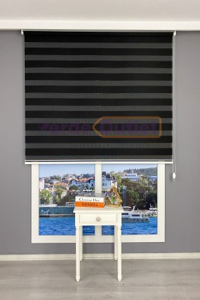 Siyah Düz Zebra Perde